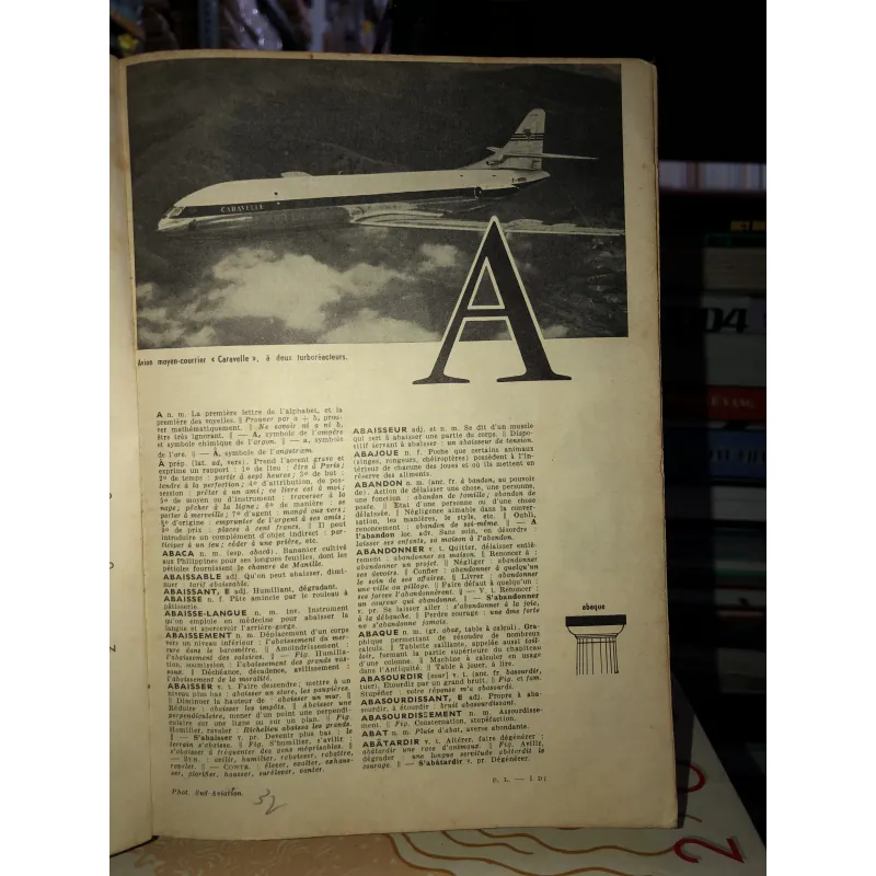 Petit larousse  799910