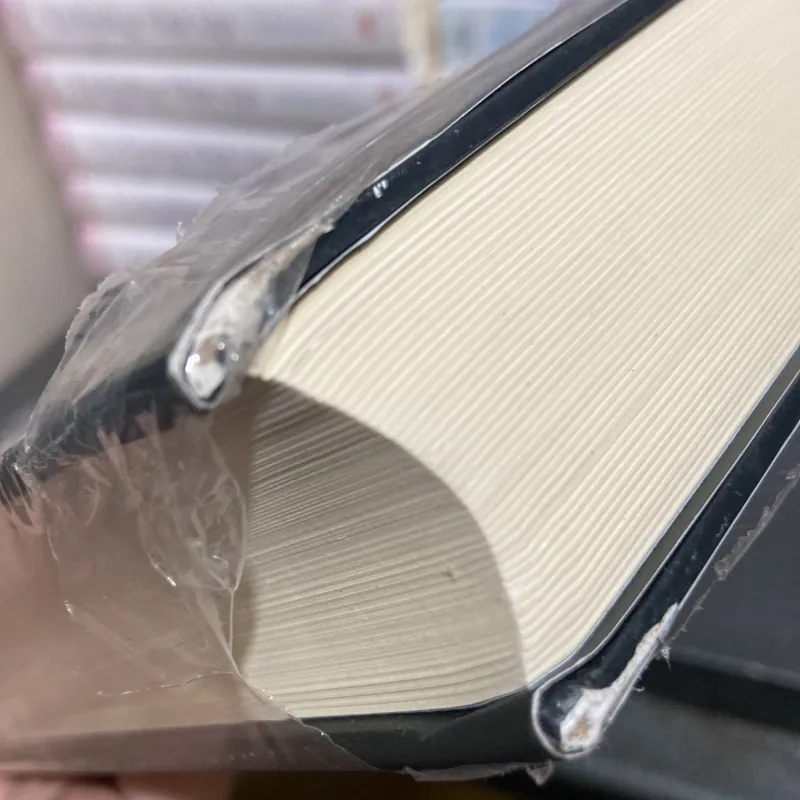 (Văn học kinh điển) - Nhà thờ đức bà Paris - Victor Hugo 1005083