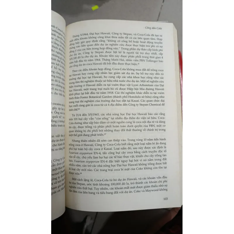 CÔNG DÂN COKE - NGUYỄN HẠO NHIÊN 738872