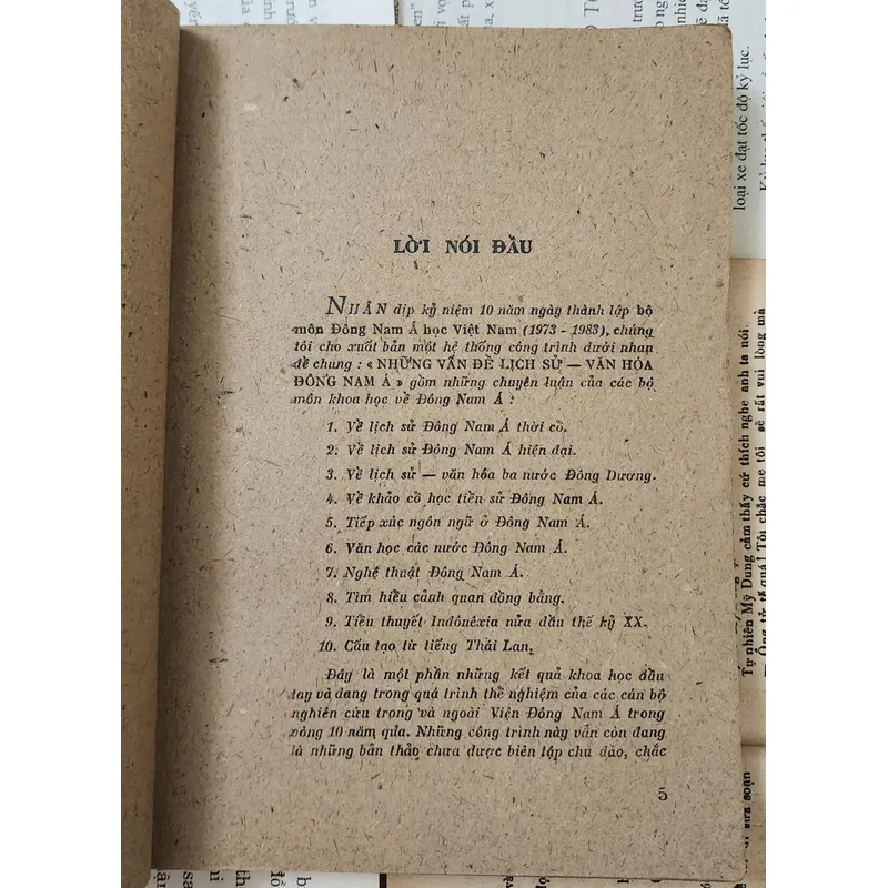 NHỮNG VẤN ĐỀ LỊCH SỬ VĂN HÓA ĐÔNG NAM Á - TÌM HIỂU CẢNH QUAN ĐỒNG BẰNG 707215