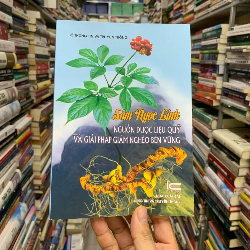 Sâm ngọc linh nguồn dược liệu quý và giải pháp giảm nghèo bền vững. 563956