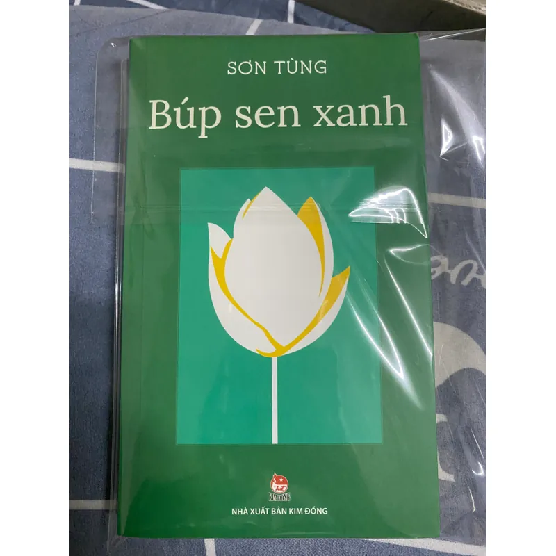 Búp sen xanh 558341