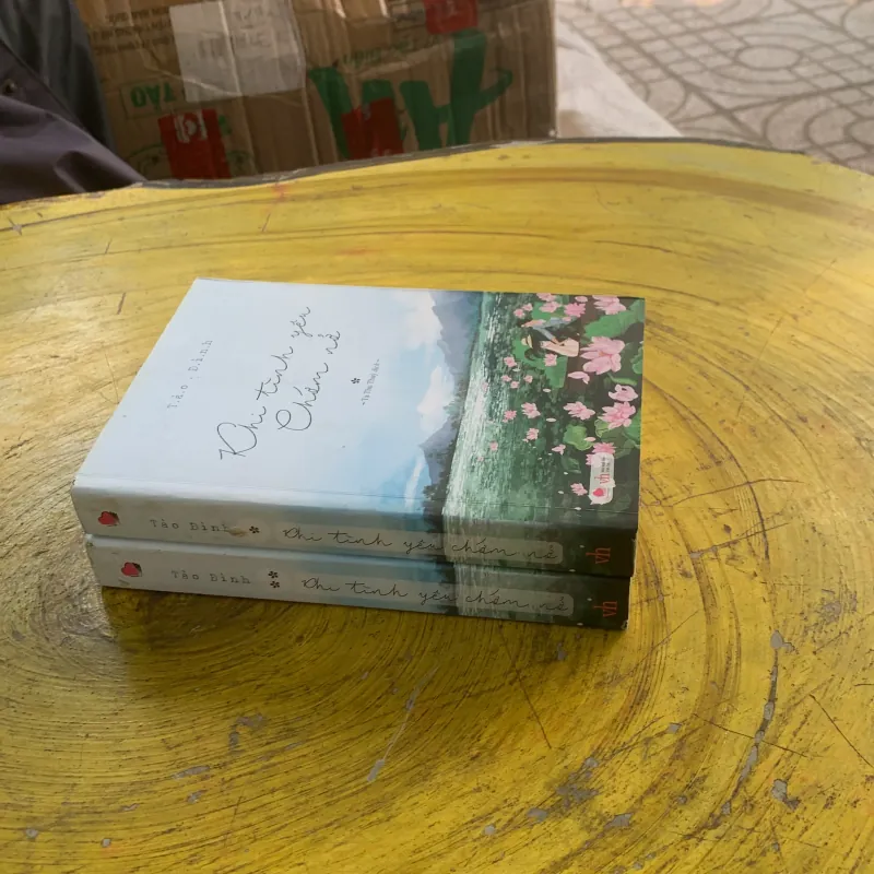 KHI TÌNH YÊU CHỚM NỞ trọn bộ - TÀO ĐÌNH 1022340