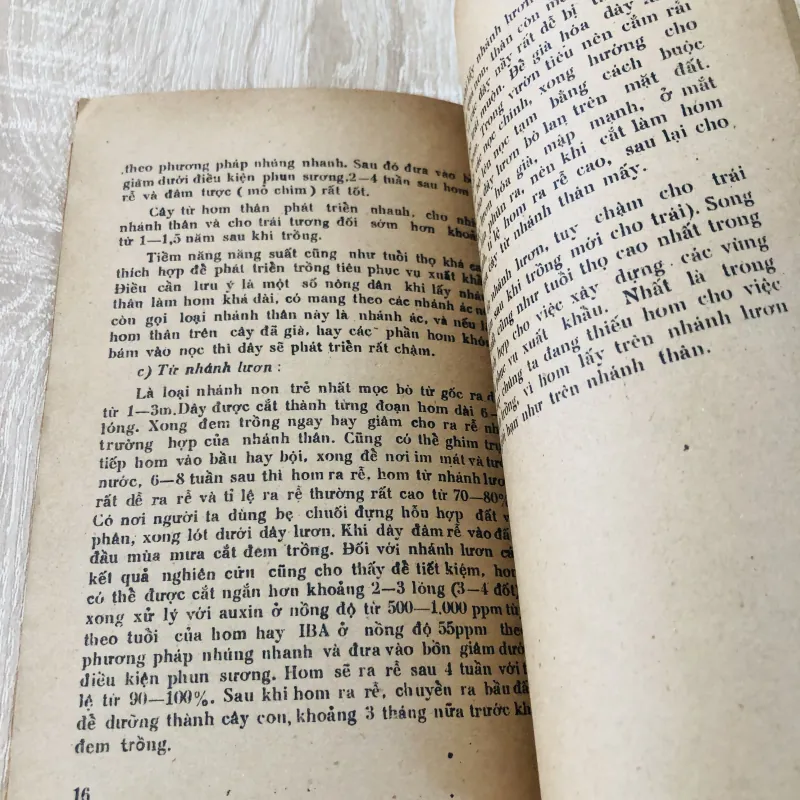 TRỒNG TIÊU Ở ĐỒNG BẰNG SÔNG CỬU LONG  956953