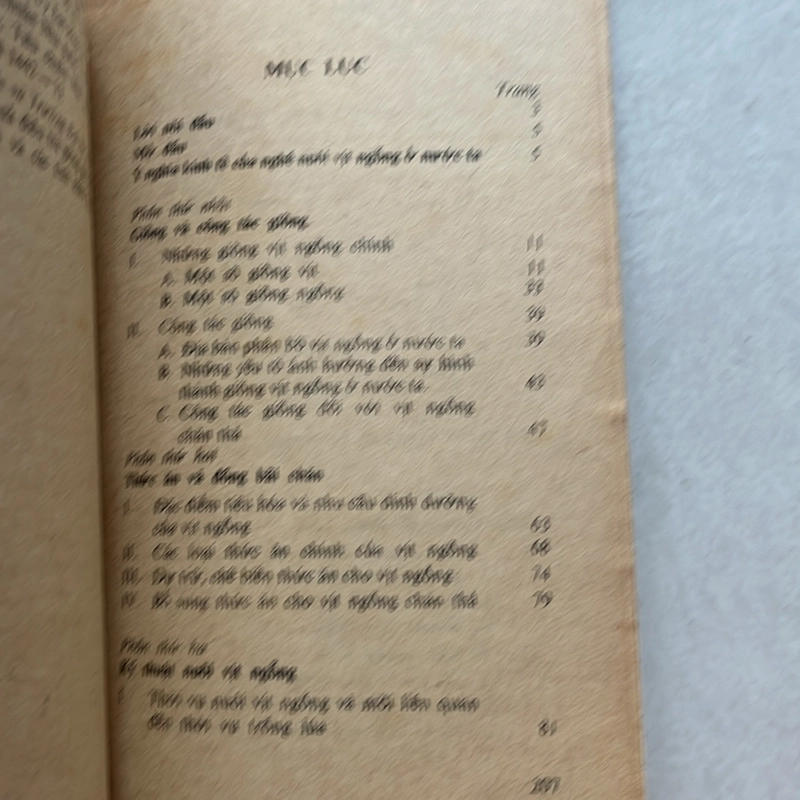 Nuôi vịt ngỗng chăn thả — 1979s 498350