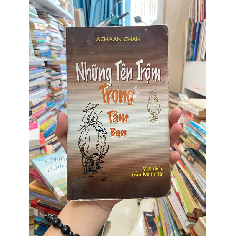 Những Tên Trộm Trong Tâm Bạn 445383
