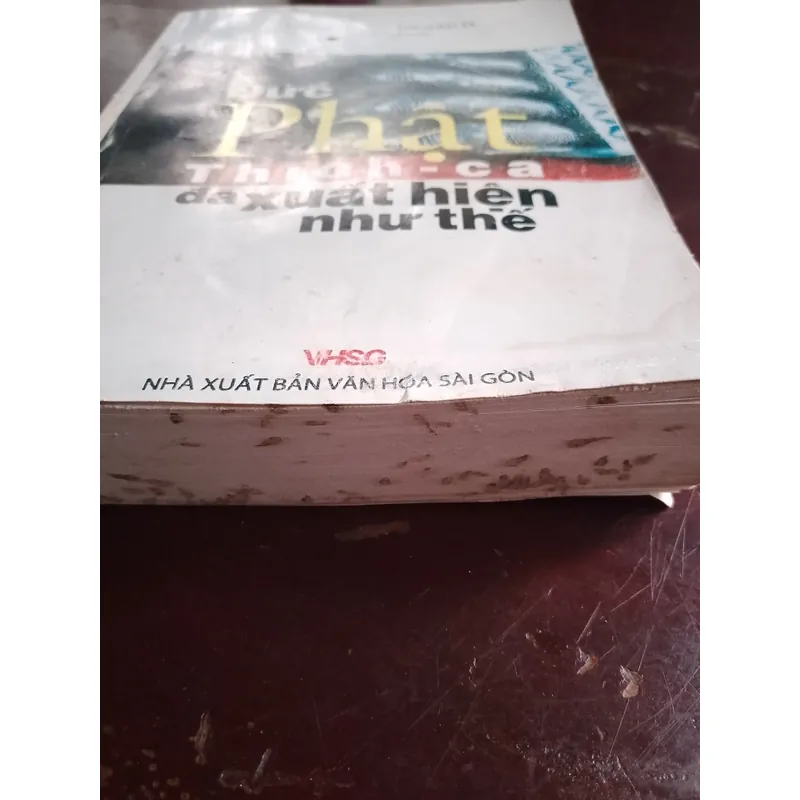 Đức Phật Thích-ca đã xuất hiện như thế 732882