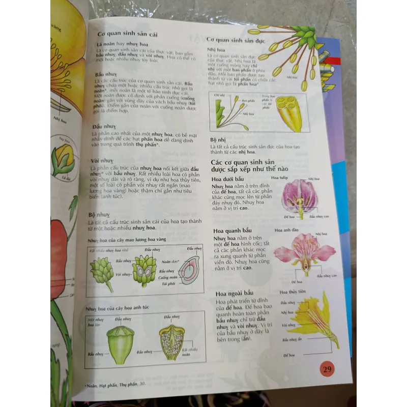 TỪ ĐIỂN USBORNE TOÁN-HOÁ-SINH-LÝ 576441