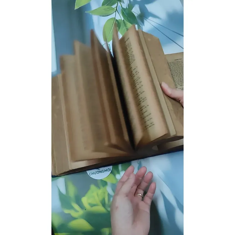 [MIỄN PHÍ BỌC SÁCH] Từ Điển Anh - Việt - Viện Ngôn Ngữ 750747