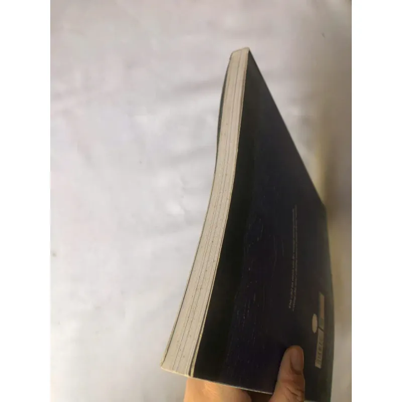 Hòn Đá Xanh - Jimmy Liao 788091