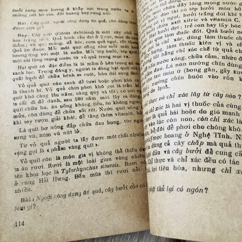 HỎI ĐÁP VỀ THỰC VẬT – trọn bộ 5 tập 🌿 956957