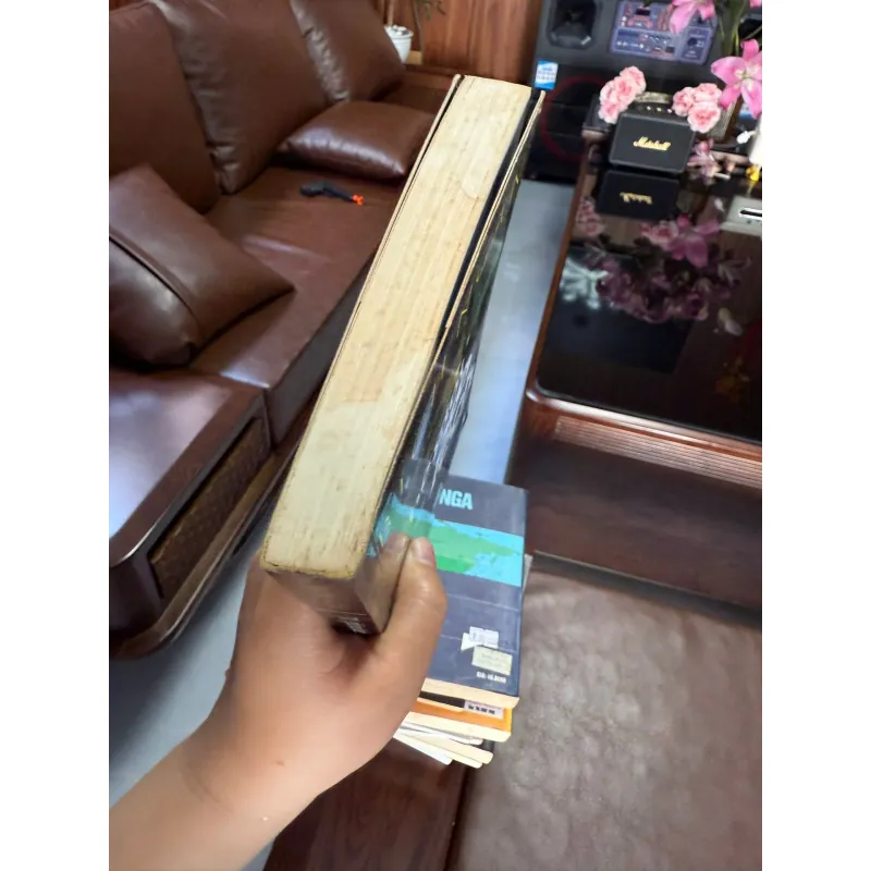 Thế giới xô lệch” – Bích Ngân 975427