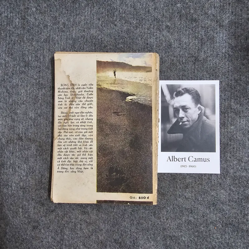 Sóng tình - Mishima Yukio 961761