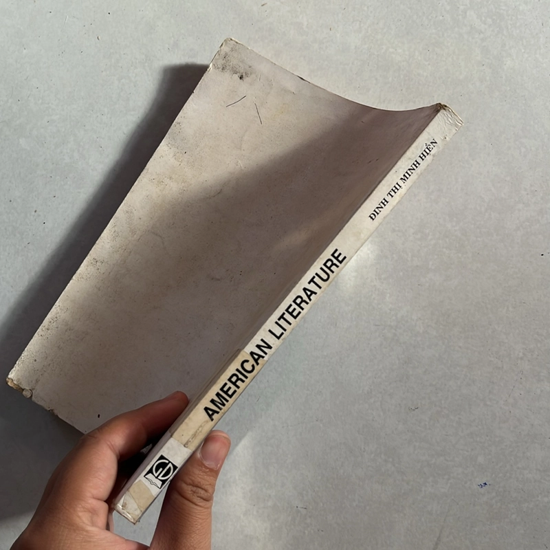 American Literature — 2001s 499138