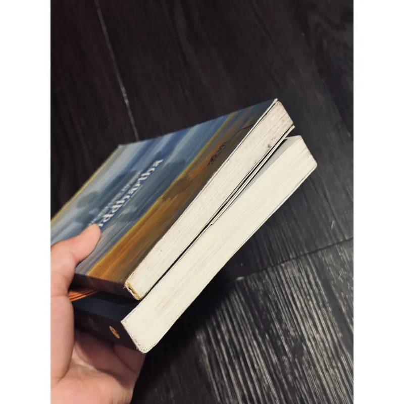 Combo 2c Hermann Hesse 994195