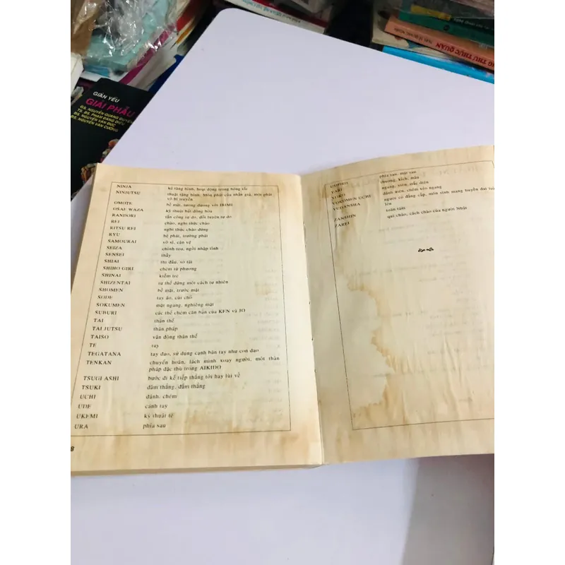 AIKIDO TỪ ĐAI TRẮNG ĐẾN ĐAI ĐEN – Christian Tissier 732976