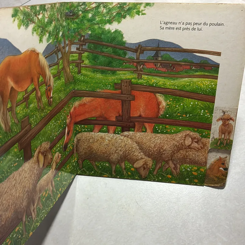 Connais-tu le petit cheval? 722308