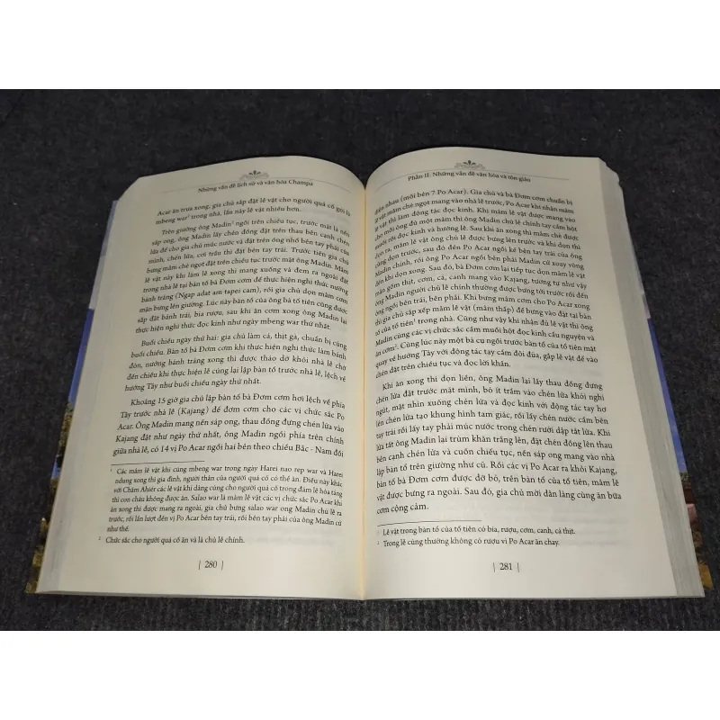 NHỮNG VẤN ĐỀ LỊCH SỬ VÀ VĂN HOÁ CHAMPA 992274