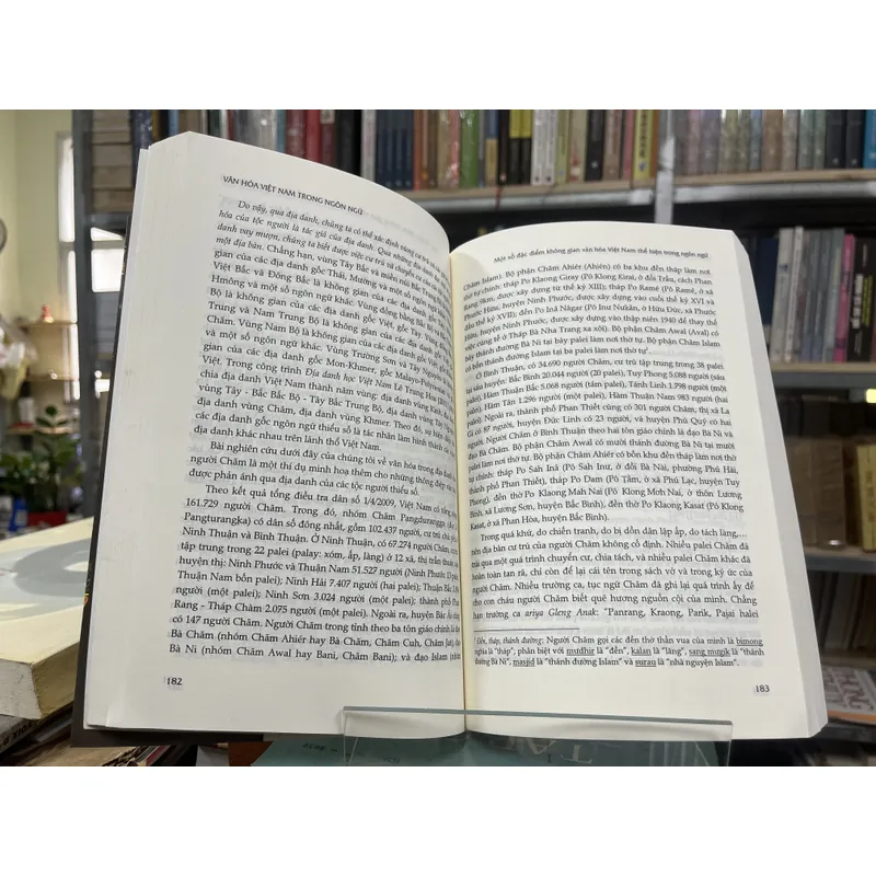 VĂN HOÁ VIỆT NAM TRONG NGÔN NGỮ 602993