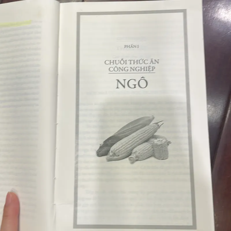 NÀO TỐI NAY ĂN GÌ THẾ LƯỠNG NAN CỦA LOÀI ĂN TẠP - Michael Pollan  1038186