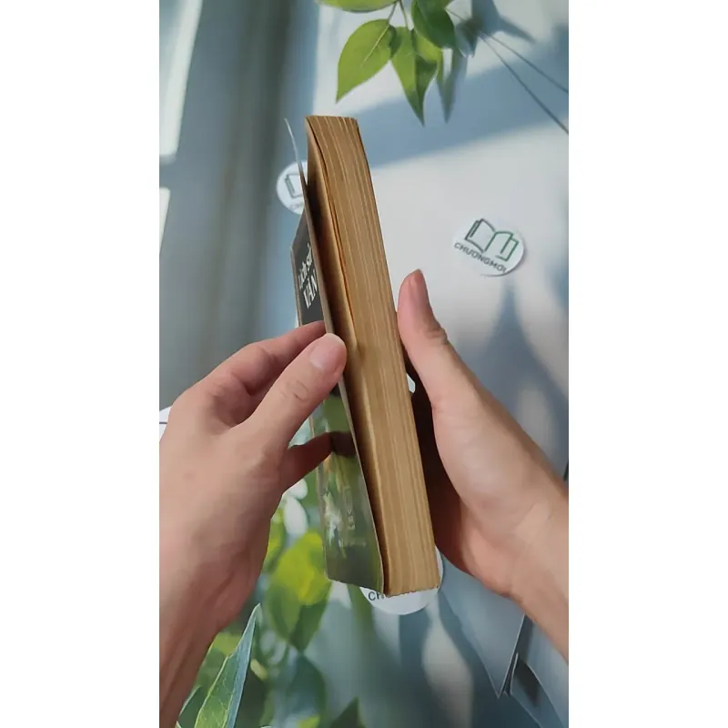 Lịch Sử Văn Minh Thế Giới - Vũ Dương Ninh 970245