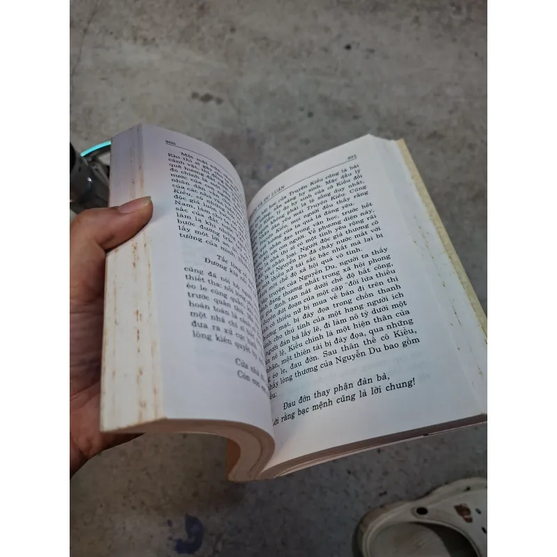 Truyện kiều tác phẩm và dư luận  995175