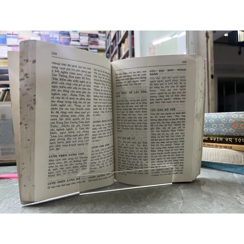 TỪ ĐIỂN GIẢI THÍCH THÀNH NGỮ TIẾNG VIỆT 688159