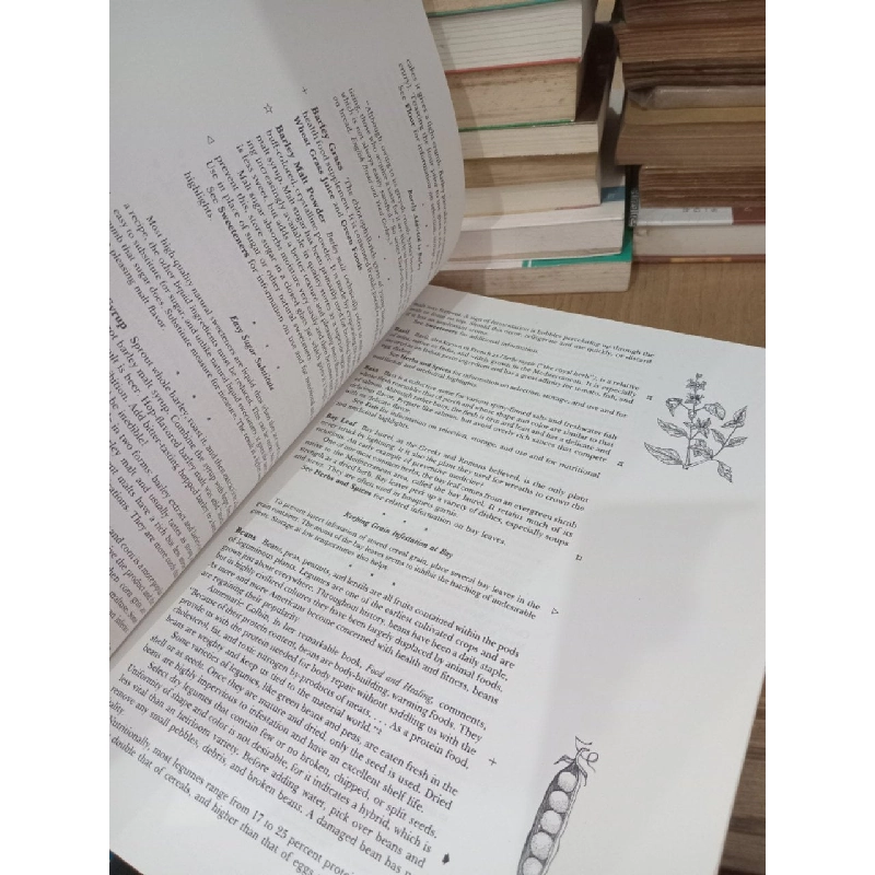 The whole foods encyclopedia - Rebecca Wood 756791