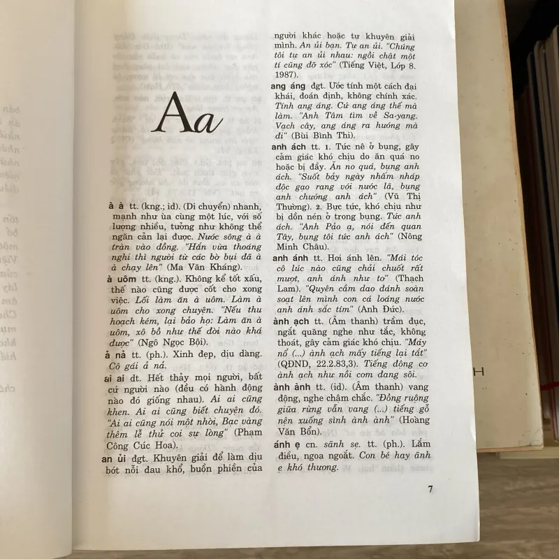 TỪ ĐIỂN TỨ LÁY TIẾNG VIỆT (XB 2005) 760343