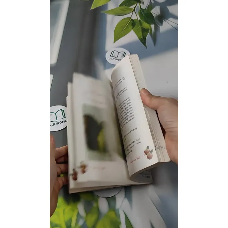 Salad Thon Người - Salad & Những Thực Phẩm Ăn Không Sợ Mập - Vũ Mai Ly & Nguyễn Xuân Quy 727252