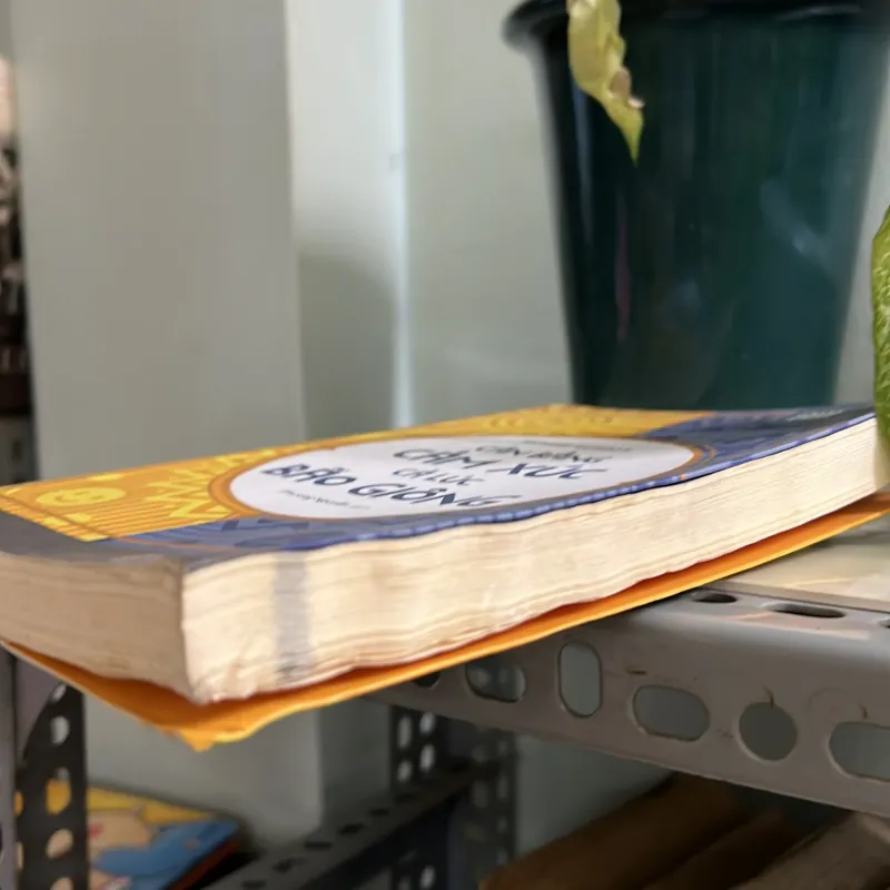 Cân bằng cảm xúc cả lúc bão giông 746051