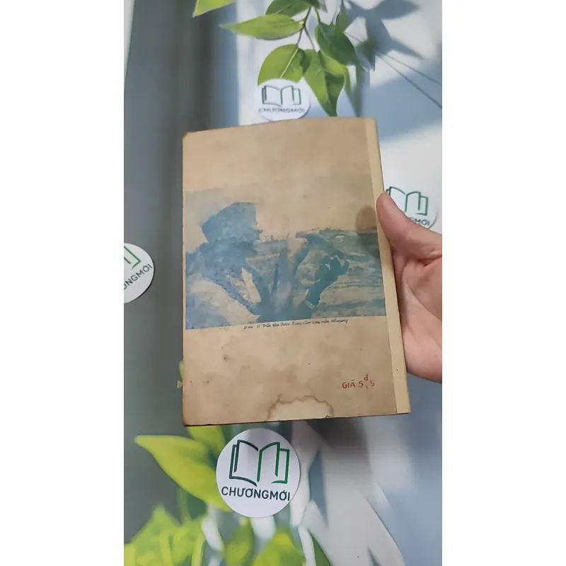 [XƯA] Cấp Cứu Và Điều Trị: Chết Đuối, Điện Giật, Rắn Độc Cắn (1982) - BS. Nguyễn Đình Thiêng - BS. Trần Văn Dược 776013