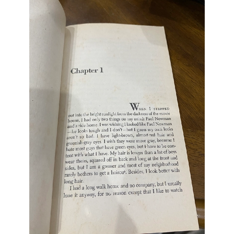 The Outsiders - S. E. Hinton 505423