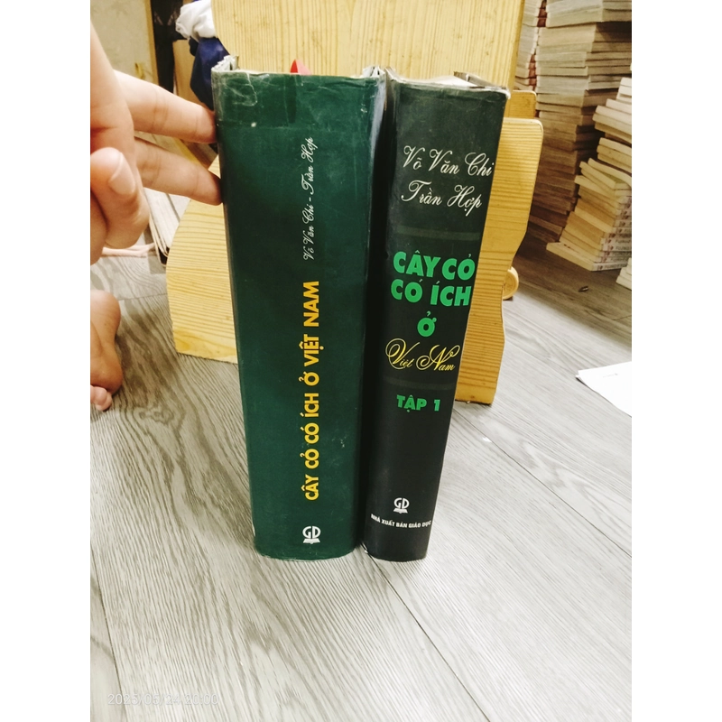 Cây Cỏ Có Ích Ở Việt Nam- Võ Văn Chi, Trần Hợp 459942