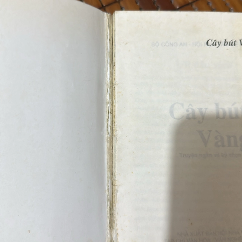 Cây bút vàng truyện ngắn - ký chọn lọc 507712
