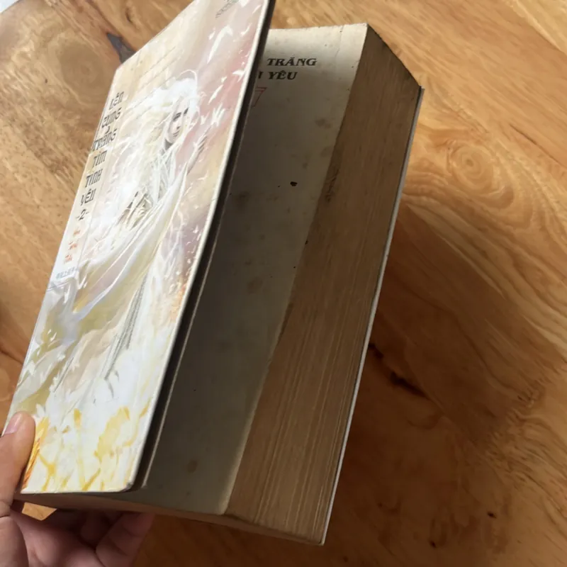 Lên cung trăng tìm tình yêu 2 595875