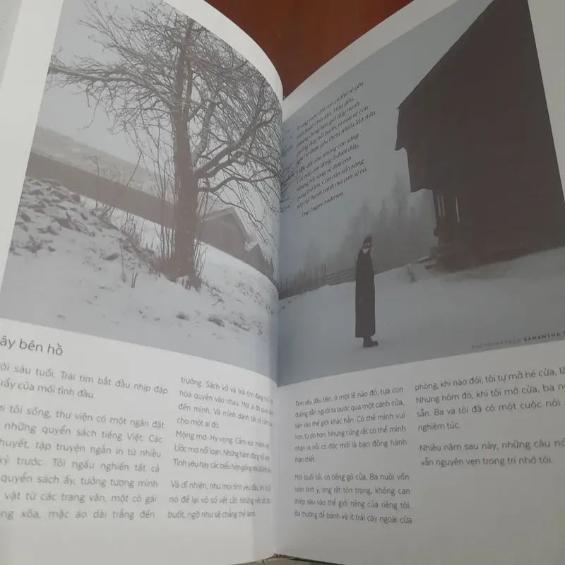 Alpha woman NGO THANH VAN, thành công ngoài vùng an toàn (có đề tặng của nữ diễn viên) 739048