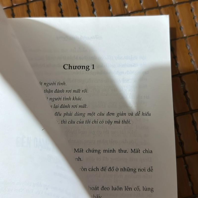 Bên cạnh thiên đường - Quản Ngai 522339