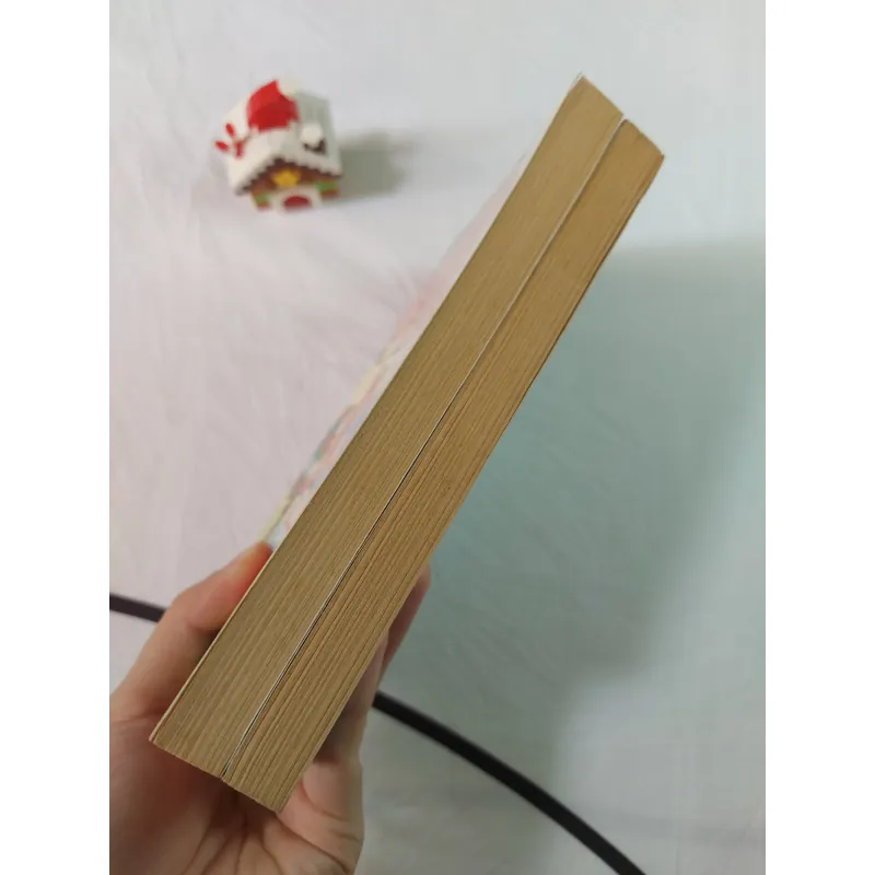 Combo 2q - ALICE’S ADVENTURES IN WONDERLAND AND THROUGH THE LOOKING GLASS & HEIDI 764303