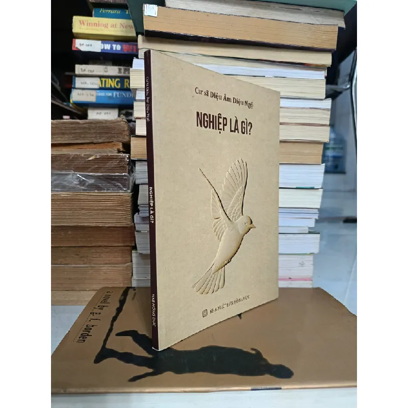 Nghiệp là gì ? - Cư sĩ Diệu Âm Diệu Ngộ 693289