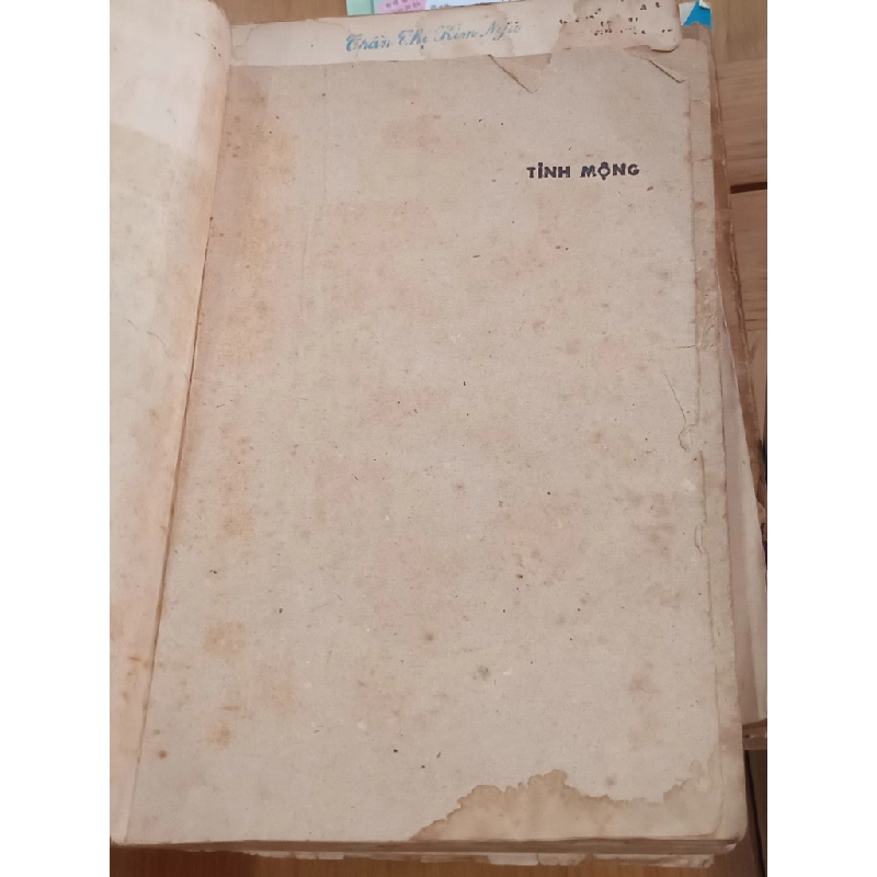 Tình Mộng - Hồ Biểu Chánh 547878