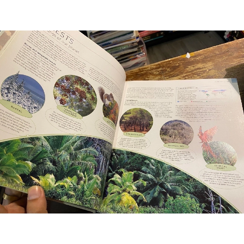 Wildlife of the world 1013762