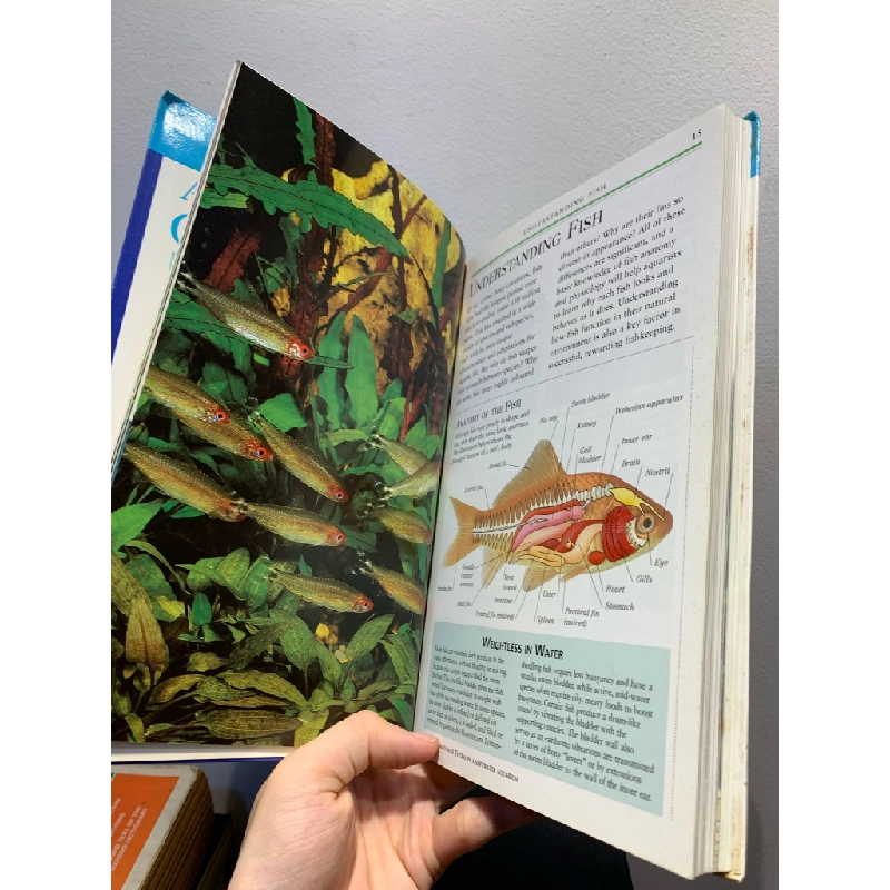 DK: Aquarium Owner's Manual - Gina Sandford 276487