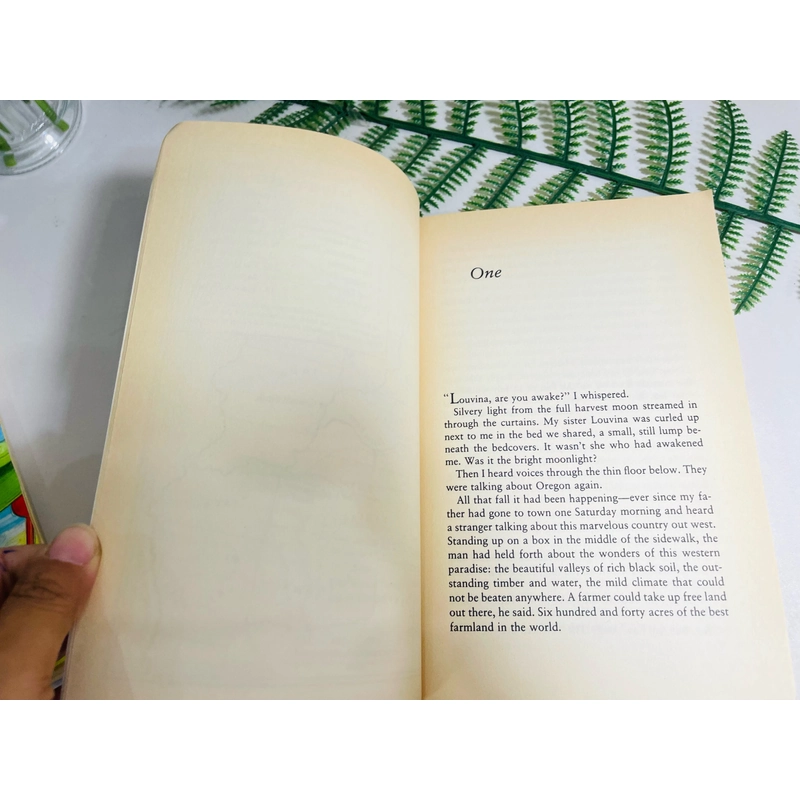 [Sách 2hand từ US] Like new 90% - Bound for Oregon của Jean Van Leeuwen 477965