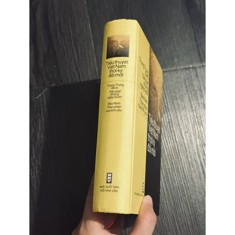 Tiểu thuyết VN thời kì đổi mới (đọc mô tả) 634712