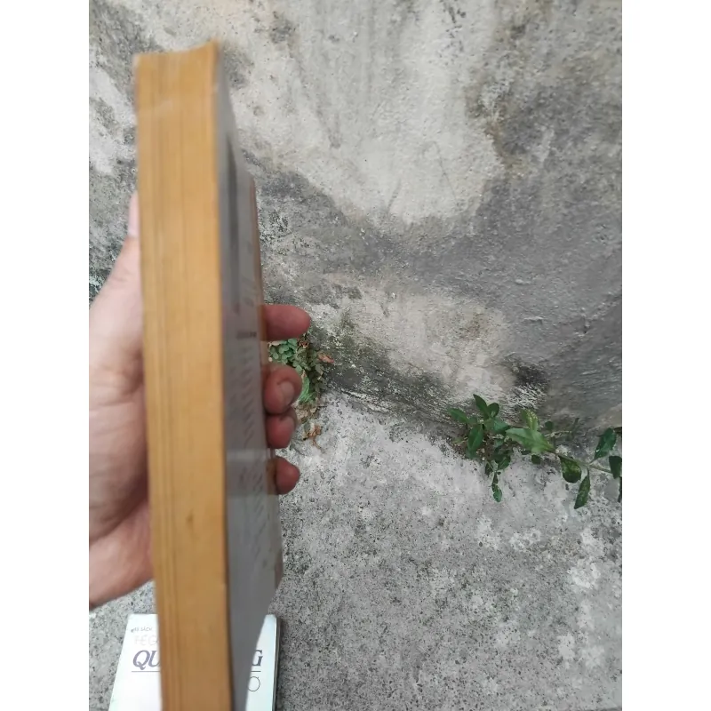 Quang Dũng người và thơ của Hoài Việt ( bản in lần 2 ) 1023973