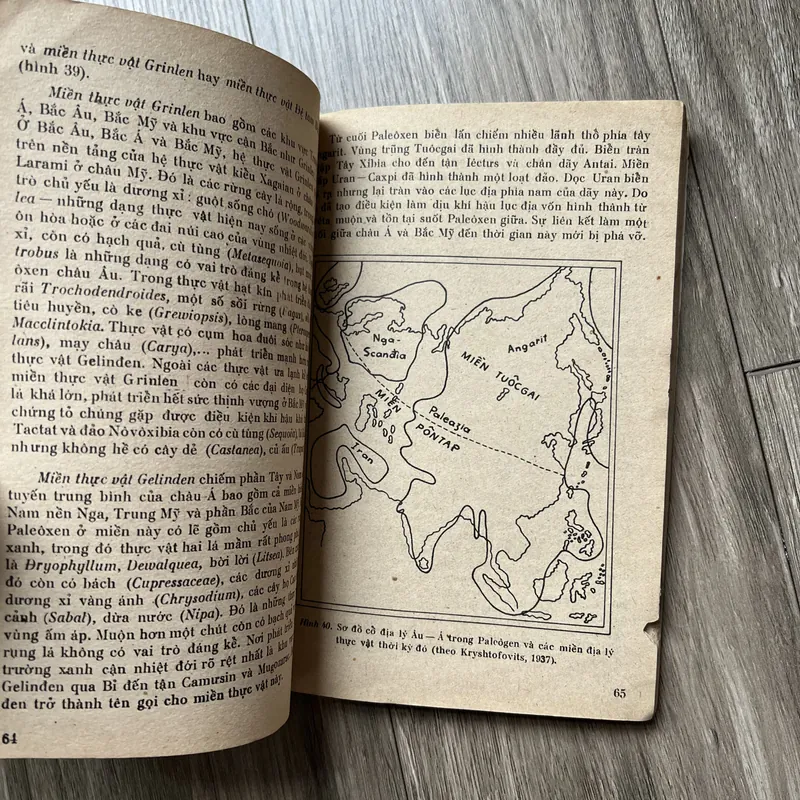 📖 Giới thực vật trong lịch sử trái đất 719242