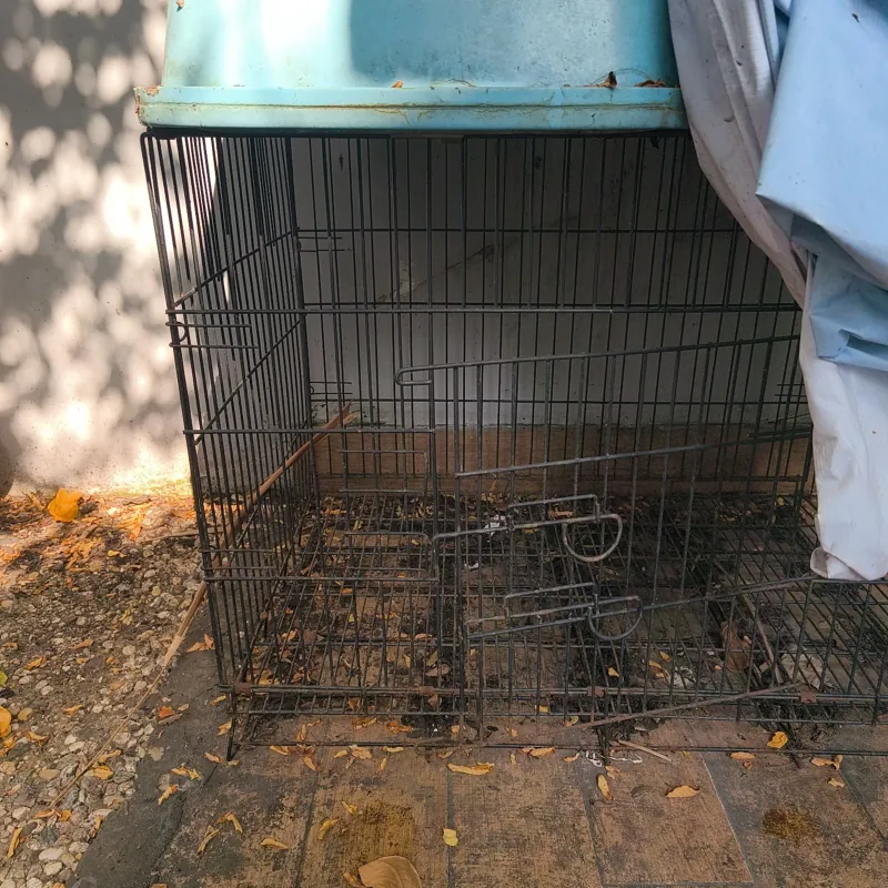 Gương treo tường trang trí.  792299