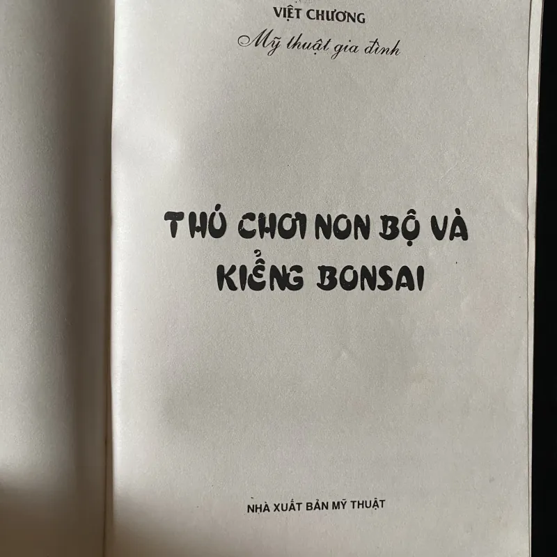 Thú chơi non bộ kiểng bonsai- Việt Chương. 1046032