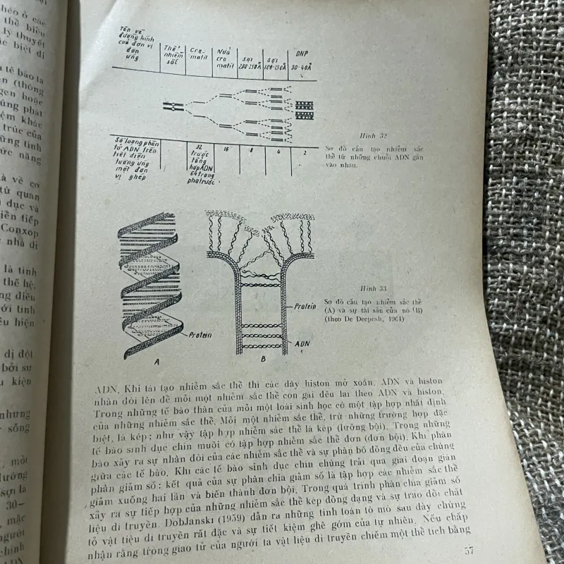 Virus học - dịch từ tiếng Nga V.M. ZĐANỐP S.I. GAIĐAMÔVICH 1009300